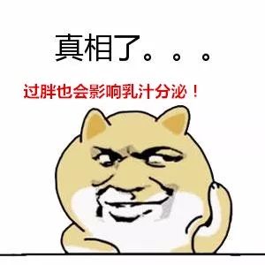 孕期及哺乳期体重管理,孕期母乳喂养会瘦么