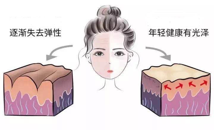 dhc辅酶q10系列精华乳怎样用,dhc辅酶q10洗面奶