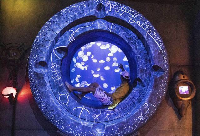 迪拜旅游自由行七日游,迪拜旅游11日自由行攻略最新