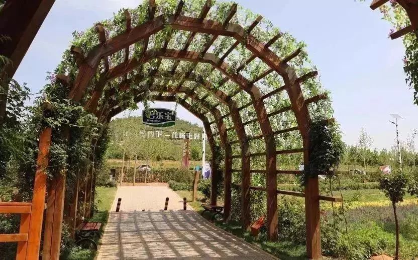 比“童言夫妇”更火爆的，可能只有鹿泉的TA们了！