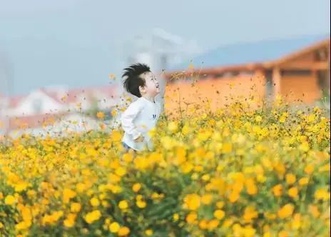 比“童言夫妇”更火爆的，可能只有鹿泉的TA们了！