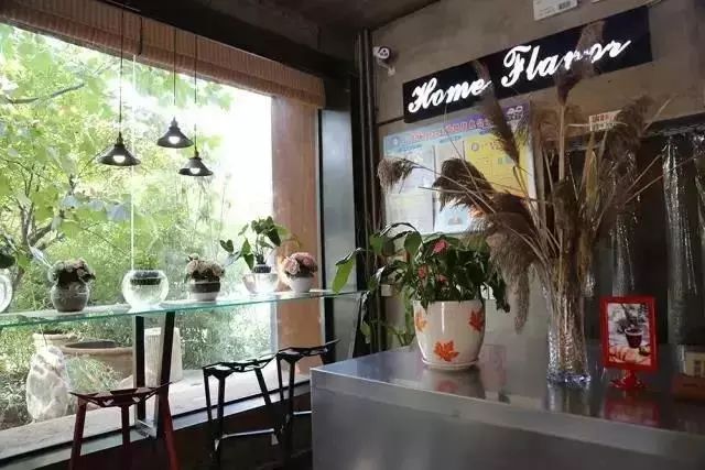 比“童言夫妇”更火爆的,可能只有鹿泉的TA们了!