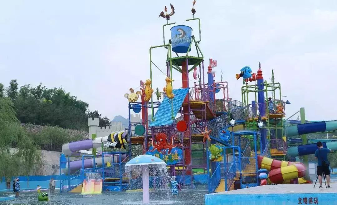 比“童言夫妇”更火爆的，可能只有鹿泉的TA们了！