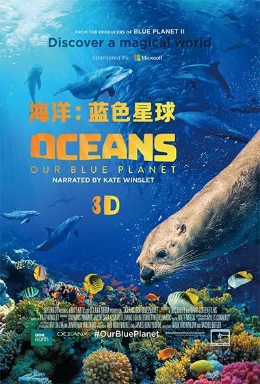 暑期观影季,暑期观影嗨翻天