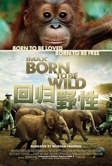 暑期观影季,暑期观影嗨翻天