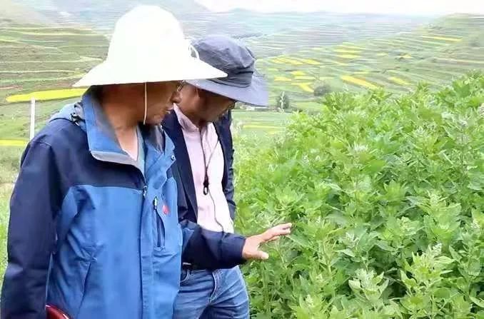 脱贫攻坚驻村队长回忆录,驻村工作队心系贫困群众