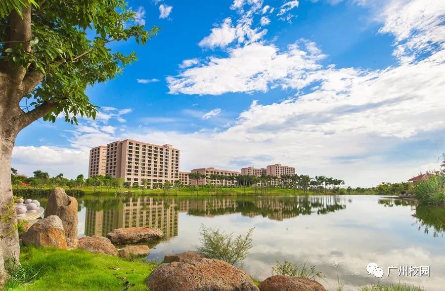 全国最爱吃夜宵排行榜,广东最好的大学美食