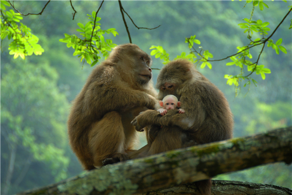 跟着镜头欣赏不一样的风景,跟着镜头领略震撼心灵的景色