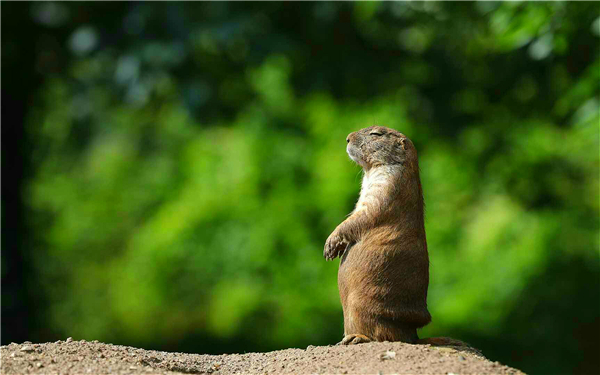 跟着镜头欣赏不一样的风景,跟着镜头领略震撼心灵的景色