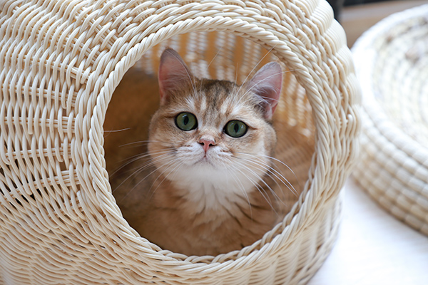 跟着镜头欣赏不一样的风景,跟着镜头领略震撼心灵的景色