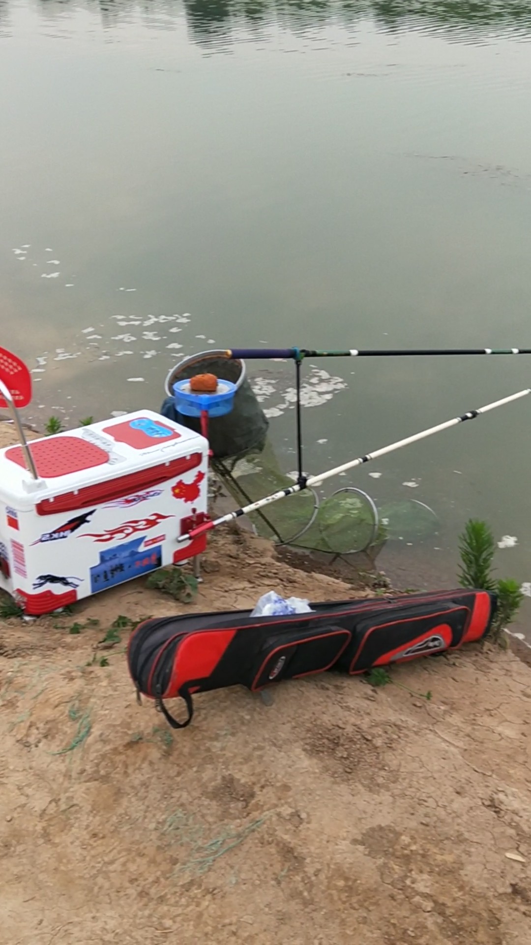 野河夜钓，偶遇大鲤妹子成功帮我解毒