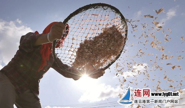 海鲜狂欢盛宴,一次别样的海鲜盛宴