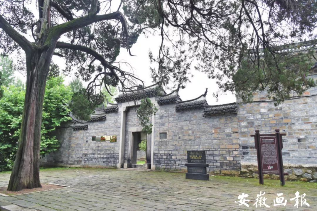 风华正安徽|金寨：我的名字叫红