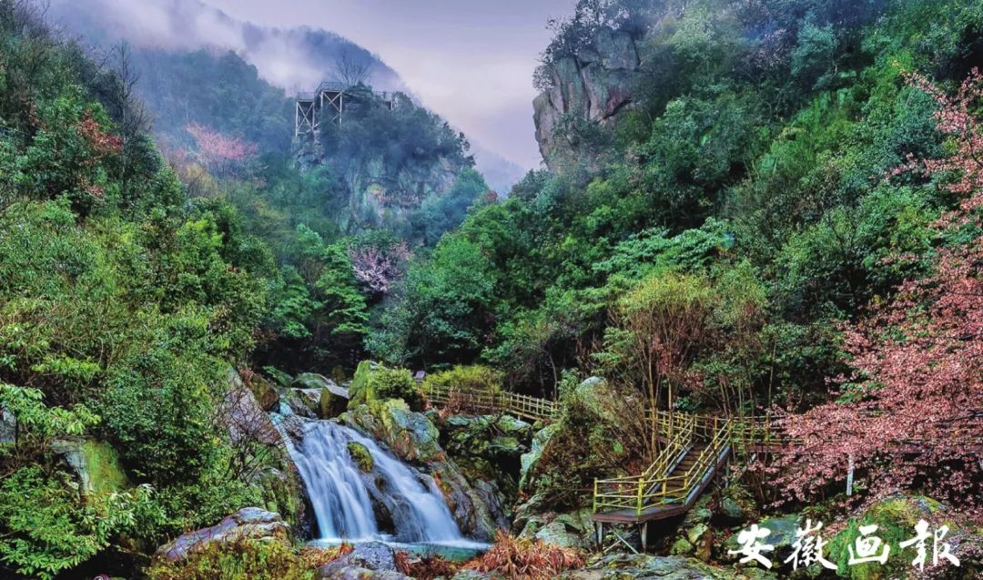 风华正安徽|金寨：我的名字叫红