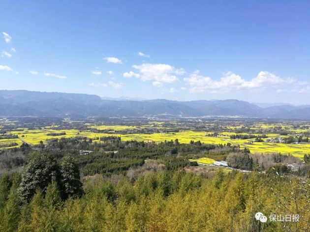 保山绿水青山变成金山,保山的生态文明变化