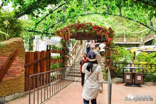 清凉一夏打卡,广东清凉好去处古龙峡