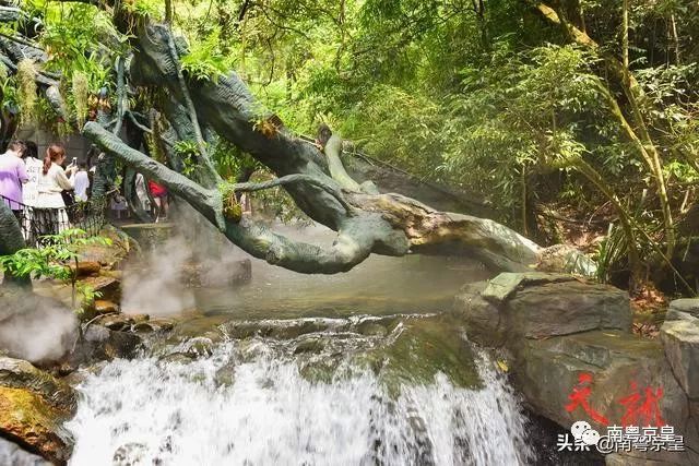 清凉一夏打卡,广东清凉好去处古龙峡