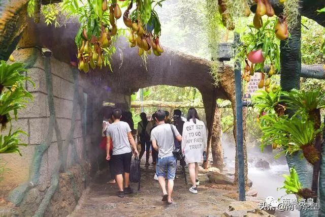 清凉一夏打卡,广东清凉好去处古龙峡