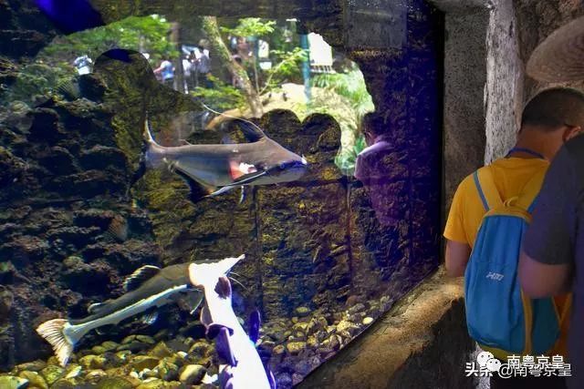 清凉一夏打卡,广东清凉好去处古龙峡