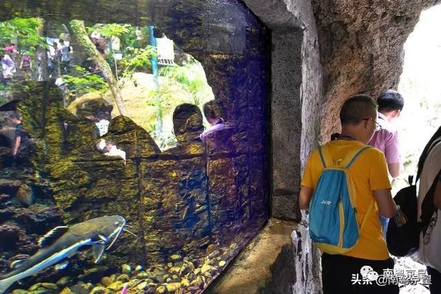 清凉一夏打卡,广东清凉好去处古龙峡