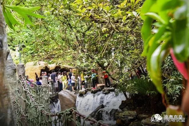 清凉一夏打卡,广东清凉好去处古龙峡