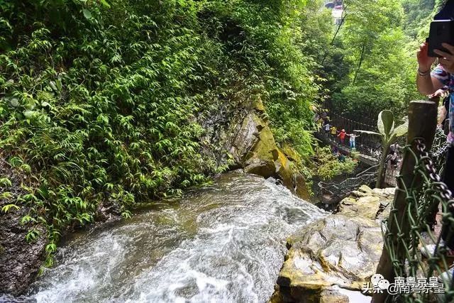 清凉一夏打卡,广东清凉好去处古龙峡