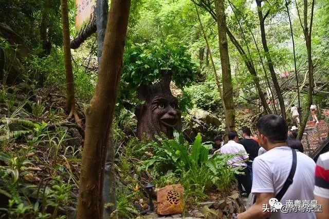 清凉一夏打卡,广东清凉好去处古龙峡