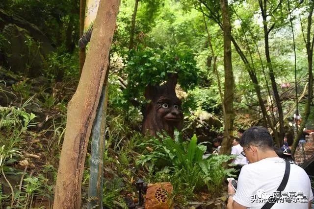 清凉一夏打卡,广东清凉好去处古龙峡