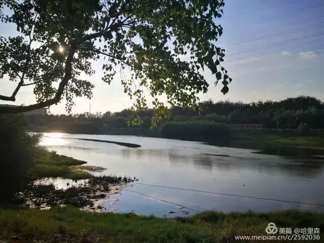厦门哪些免门票景点好玩,厦门哪里好玩又免费的景点推荐
