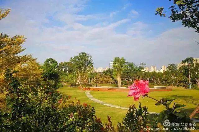 厦门哪些免门票景点好玩,厦门哪里好玩又免费的景点推荐