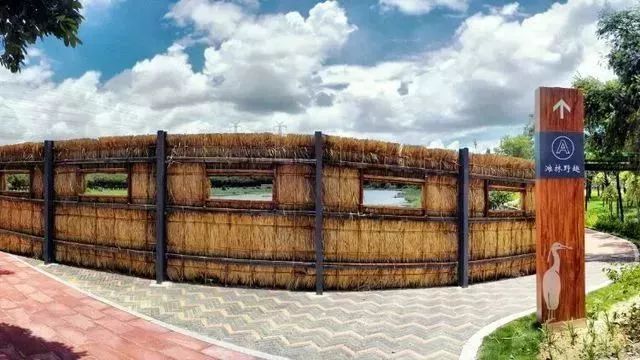 厦门哪些免门票景点好玩,厦门哪里好玩又免费的景点推荐