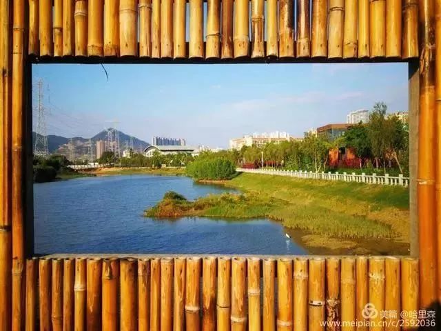 厦门哪些免门票景点好玩,厦门哪里好玩又免费的景点推荐