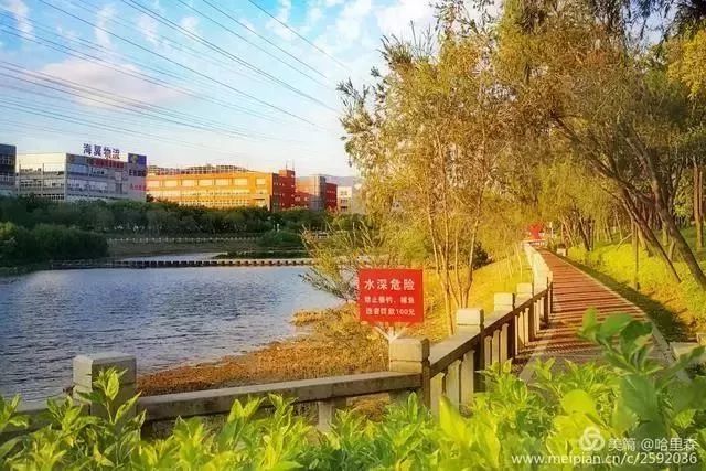 厦门哪些免门票景点好玩,厦门哪里好玩又免费的景点推荐