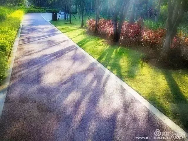 厦门哪些免门票景点好玩,厦门哪里好玩又免费的景点推荐