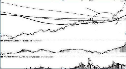 徐翔怎么躲过黑天鹅事件,私募大佬徐翔传奇