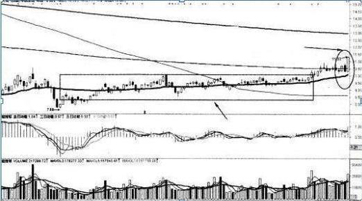 徐翔怎么躲过黑天鹅事件,私募大佬徐翔传奇