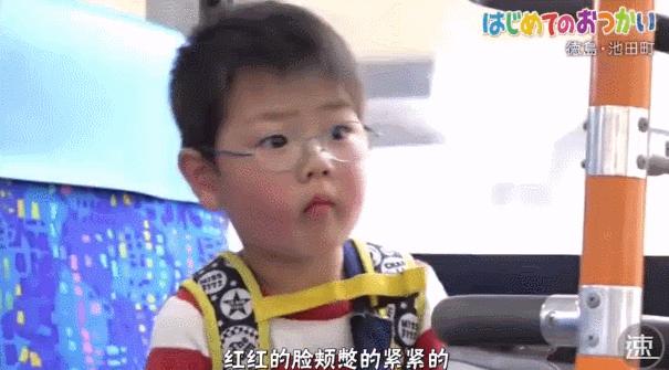 日本跟拍29年的神作，建议你谨慎观看