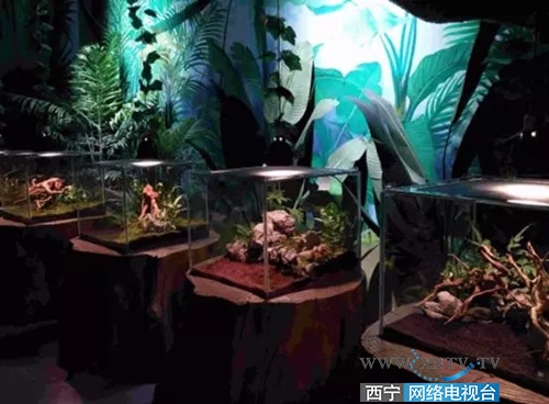 新华联童梦乐园五一门票,新华联童梦乐园一日游攻略