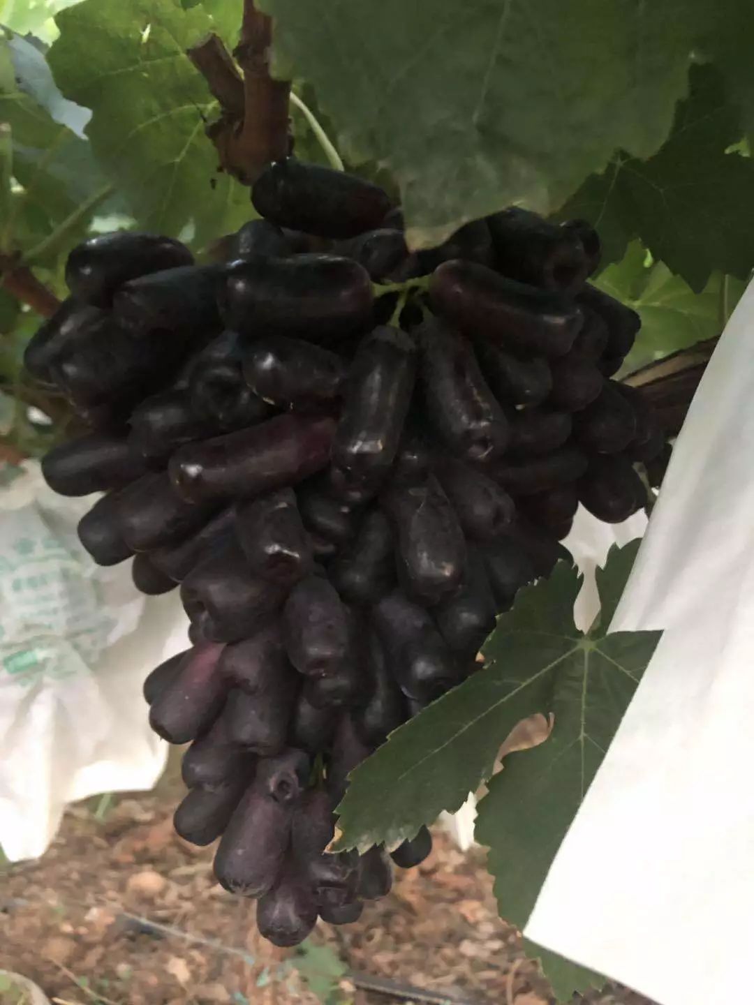 宾川县城加油,宾川加油站活动