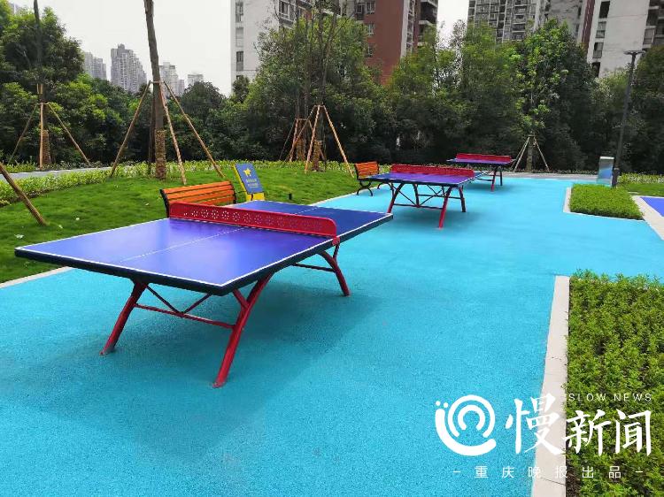 文化体育公园开园,50个社区体育文化公园