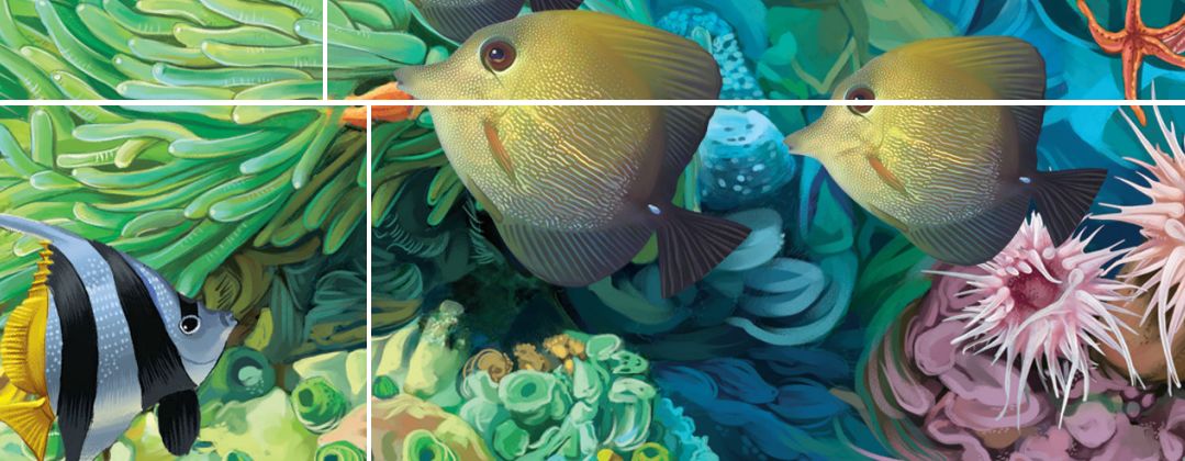 哪些异型鱼好看长得还不大,长得好看的鱼