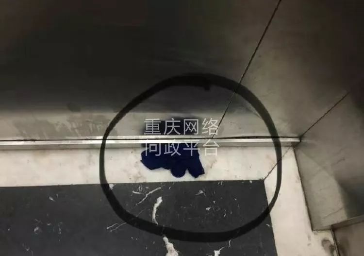 华宇上院违章搭建,华宇小区业主维权