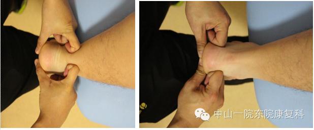 康复治疗技术人体解剖学,12条筋膜链解析及治疗手法