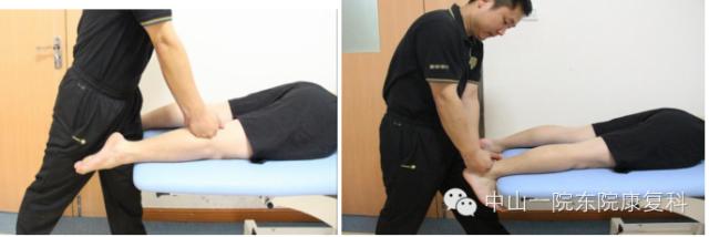 康复治疗技术人体解剖学,12条筋膜链解析及治疗手法