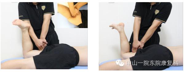 康复治疗技术人体解剖学,12条筋膜链解析及治疗手法