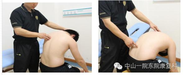 康复治疗技术人体解剖学,12条筋膜链解析及治疗手法