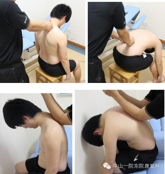 康复治疗技术人体解剖学,12条筋膜链解析及治疗手法