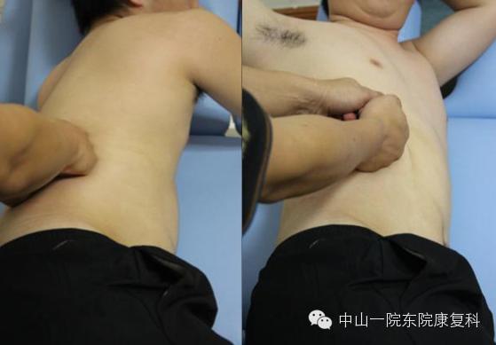 康复治疗技术人体解剖学,12条筋膜链解析及治疗手法