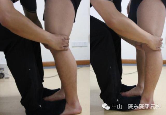 康复治疗技术人体解剖学,12条筋膜链解析及治疗手法