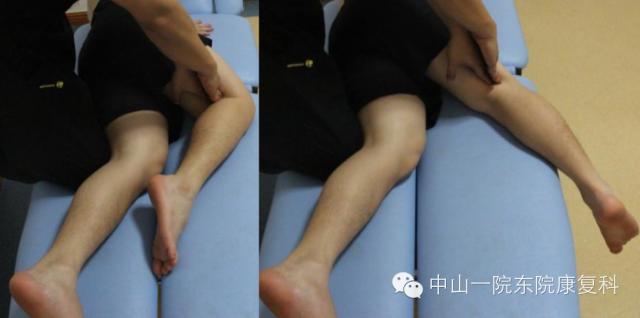 康复治疗技术人体解剖学,12条筋膜链解析及治疗手法